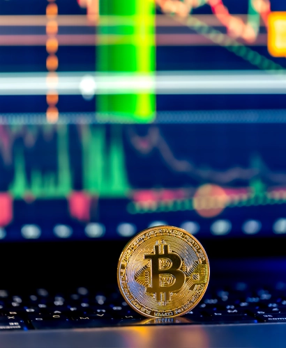 Vagnortex App Ticaret Bilgileri